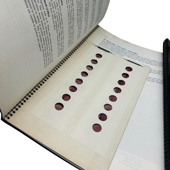 1964 VINTAGE THE WONDER OF LIFE FOLIO 12 BOOKS AND MEADE MICROSCOPE BOOK - Picture 10 of 16